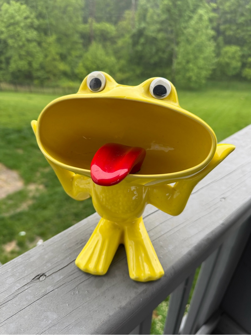 Yellow Frog Ceramic/Decor with Red Tongue